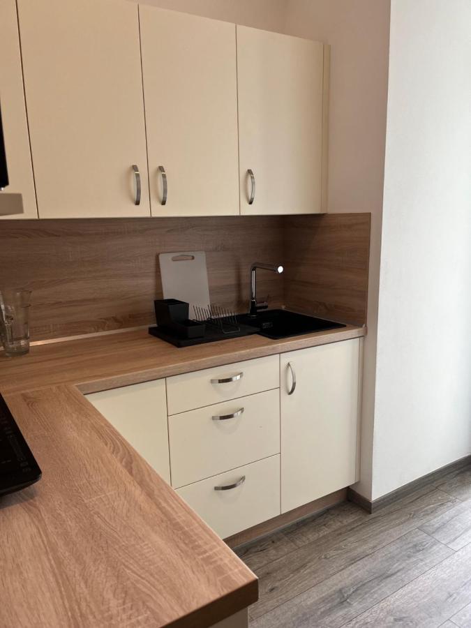 Moderni Apartman Uprostred Sumavske Prirody Zdikovec Ngoại thất bức ảnh